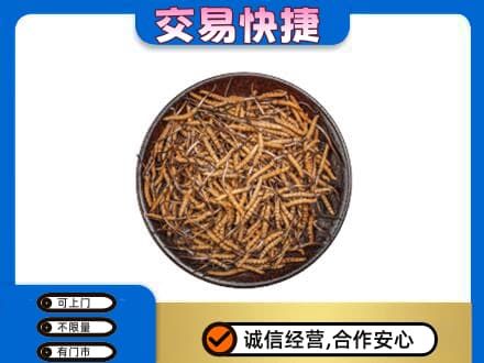 阳高县回收散虫草